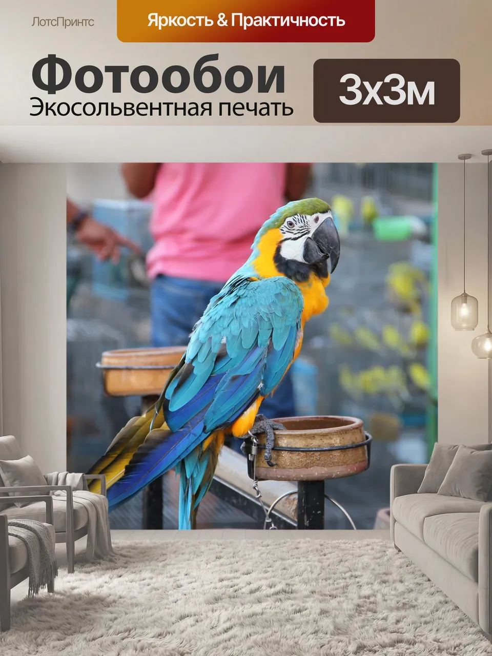 Фотообои Попугай, птица, экзотика