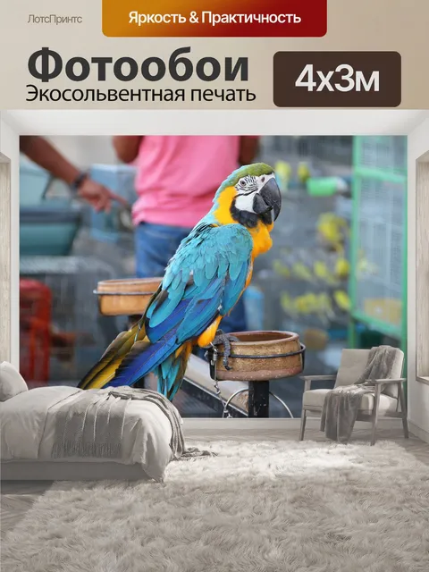 400 × 300 см · Экосольвентная печать