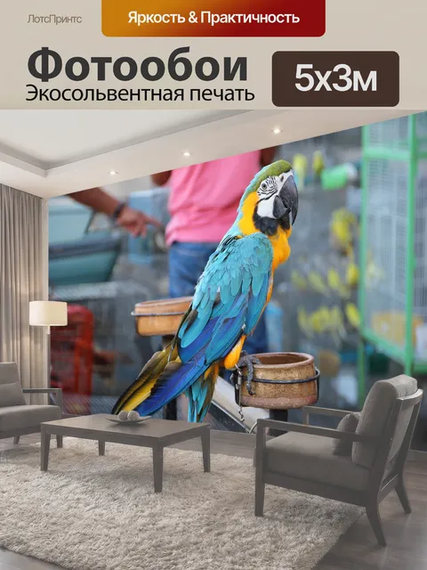500 × 300 см · Экосольвентная печать