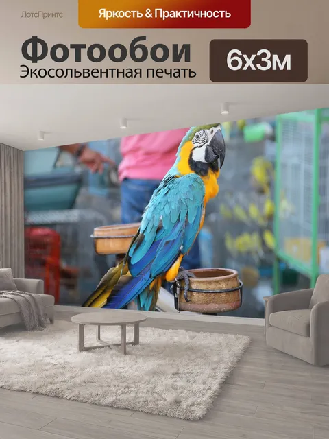 600 × 300 см · Экосольвентная печать