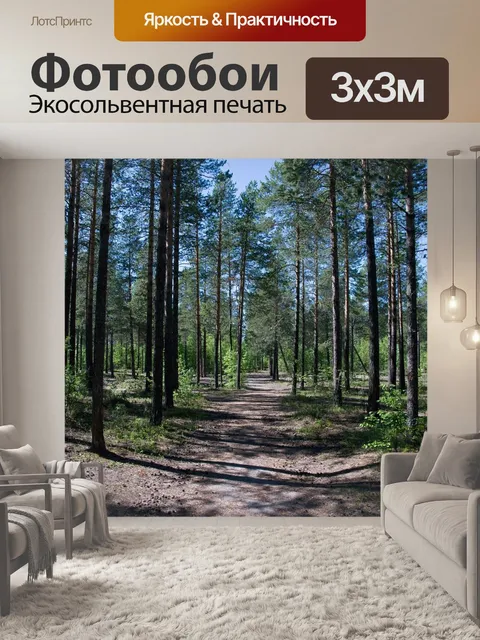 Фотообои Сосновый бор, север, лес