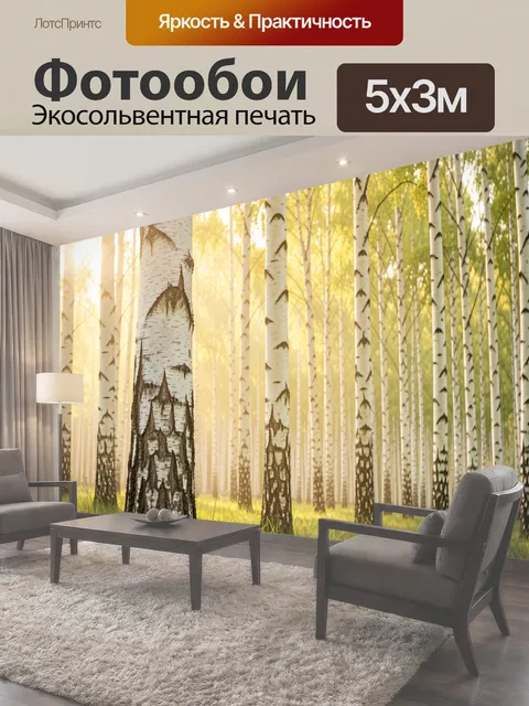 Фотообои Берёзовая роща в солнечном тумане
