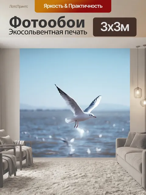 Фотообои Чайка, природные, птицы