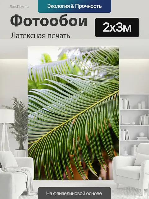 200 × 300 см · Латексная печать