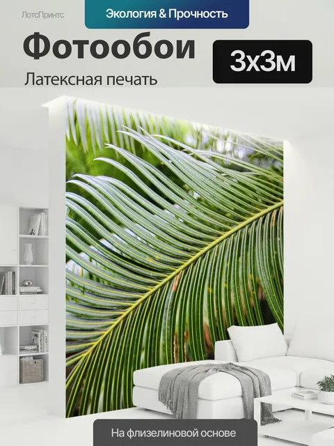 300 × 300 см · Латексная печать