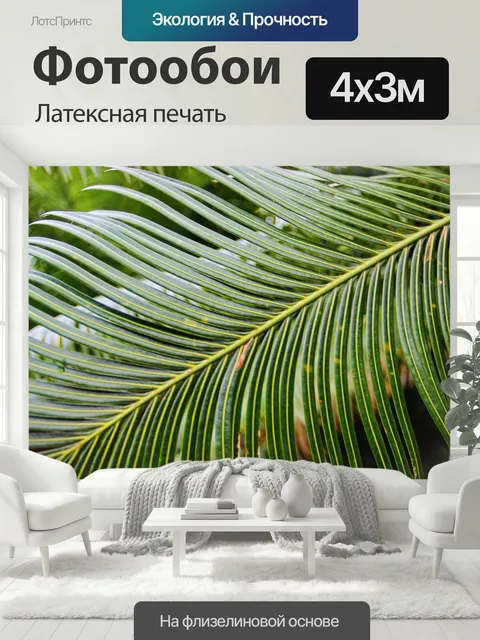 400 × 300 см · Латексная печать