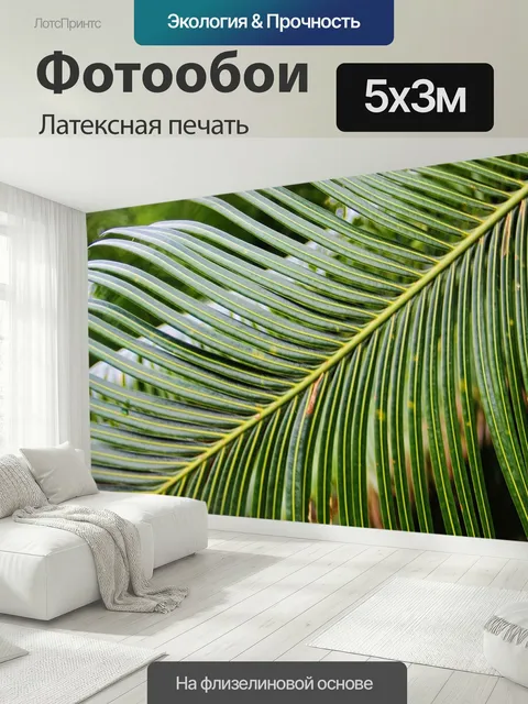 500 × 300 см · Латексная печать