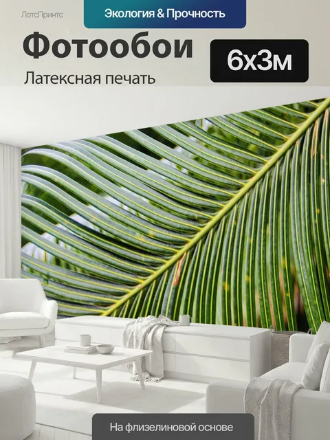 600 × 300 см · Латексная печать