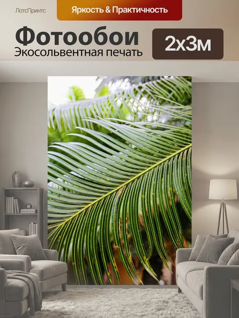 200 × 300 см · Экосольвентная печать
