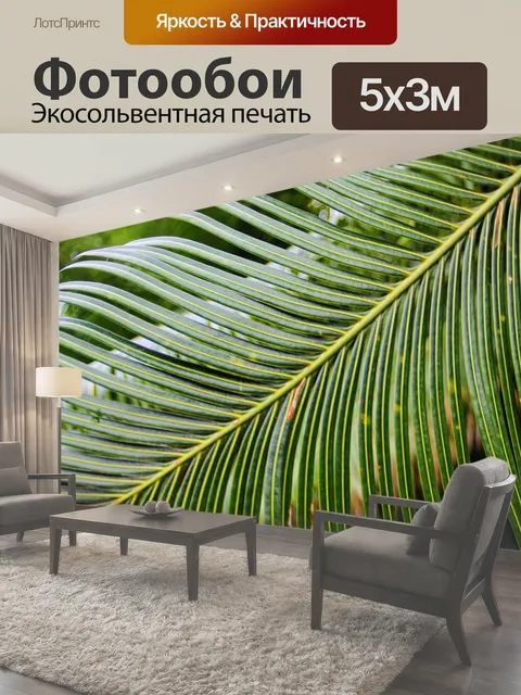 500 × 300 см · Экосольвентная печать