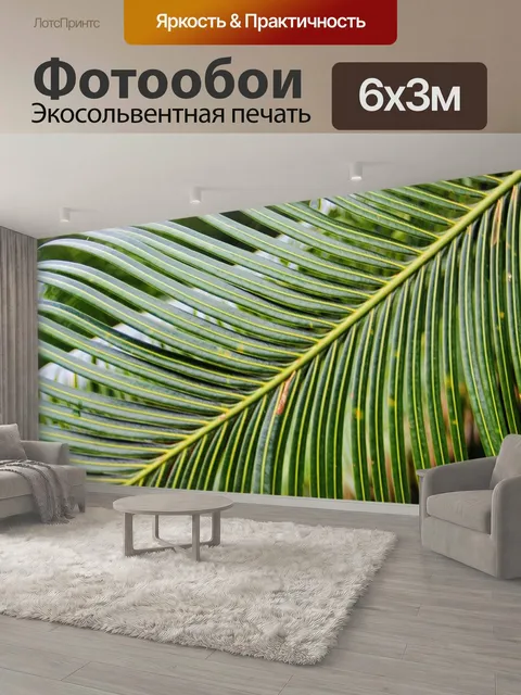 600 × 300 см · Экосольвентная печать