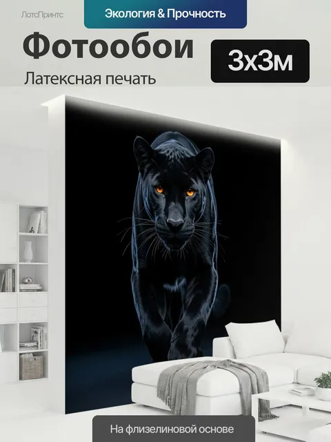 300 × 300 см · Латексная печать