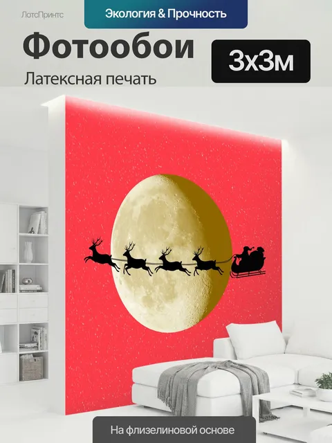 300 × 300 см · Латексная печать