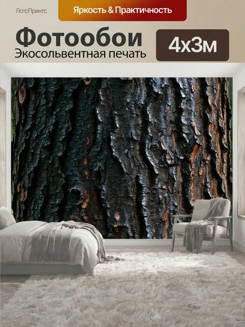 400 × 300 см · Экосольвентная печать
