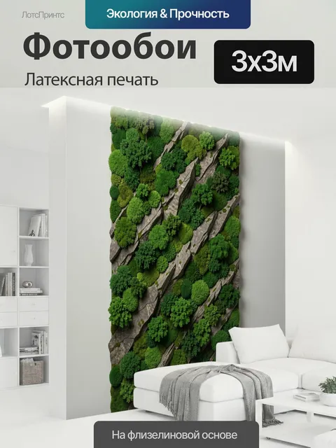 300 × 300 см · Латексная печать