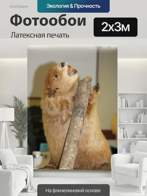 200 × 300 см · Латексная печать