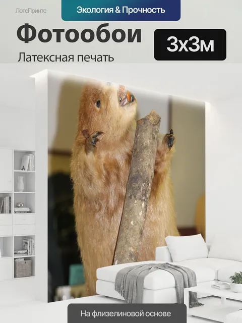 300 × 300 см · Латексная печать