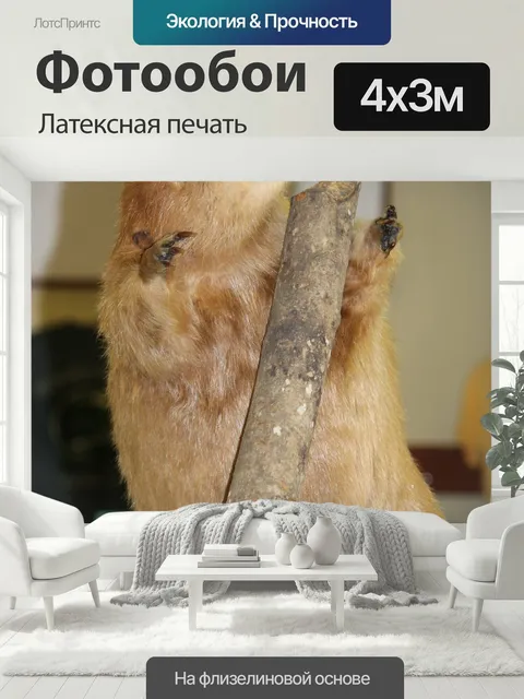 400 × 300 см · Латексная печать