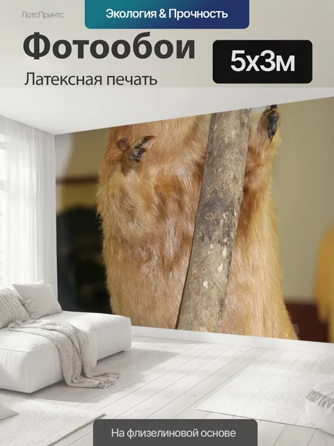 500 × 300 см · Латексная печать
