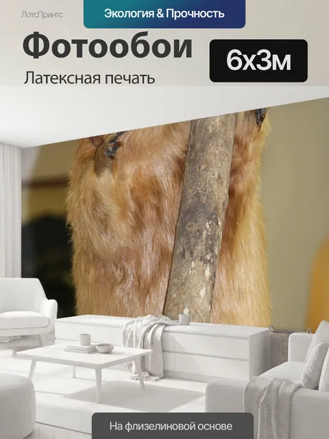 600 × 300 см · Латексная печать