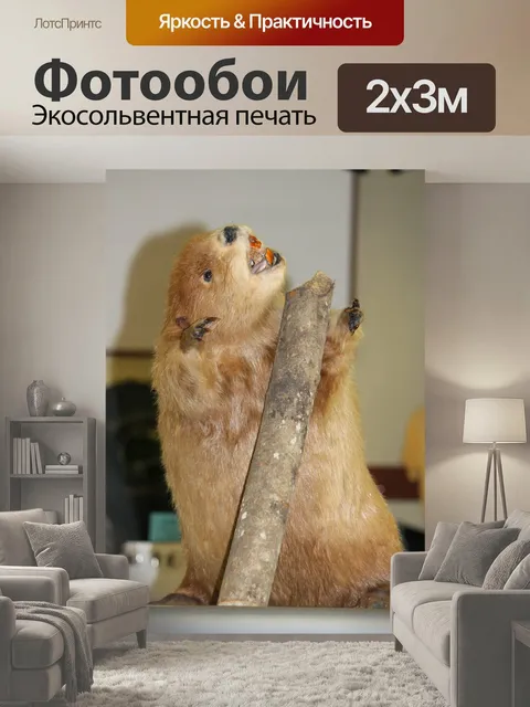 200 × 300 см · Экосольвентная печать