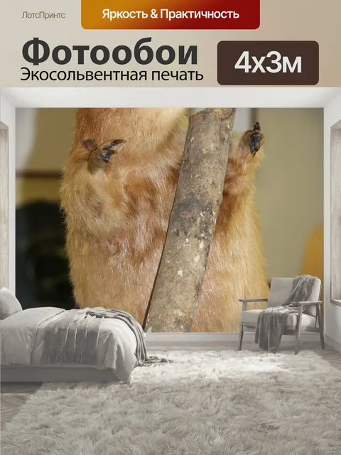 400 × 300 см · Экосольвентная печать