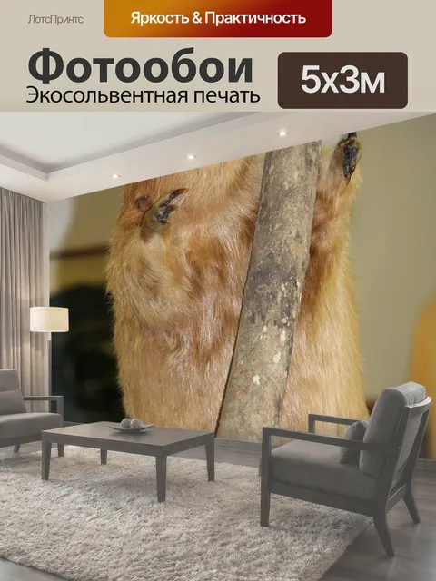 500 × 300 см · Экосольвентная печать