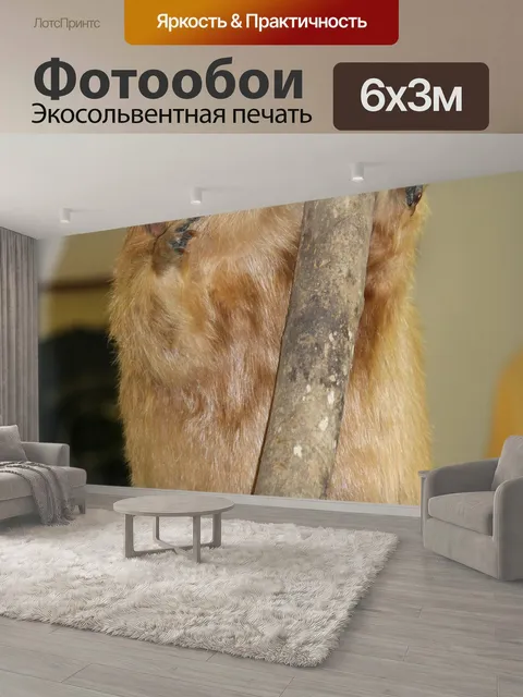 600 × 300 см · Экосольвентная печать