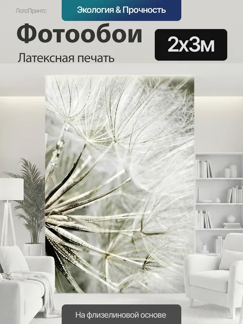 200 × 300 см · Латексная печать