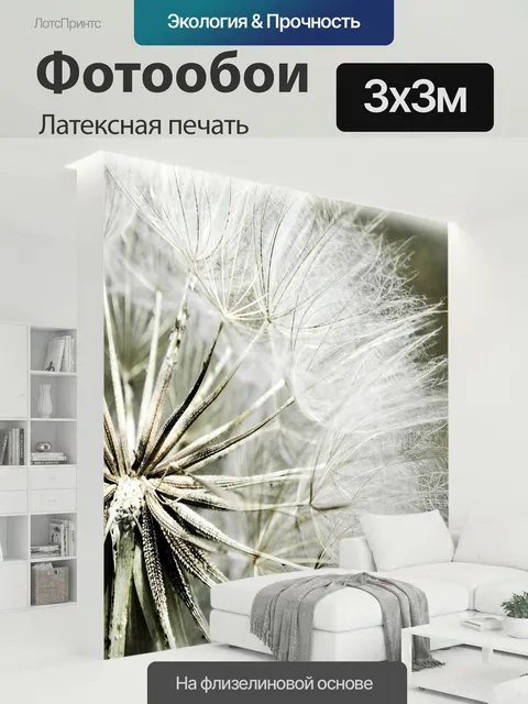 300 × 300 см · Латексная печать