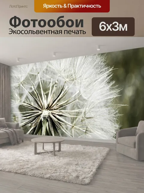 600 × 300 см · Экосольвентная печать