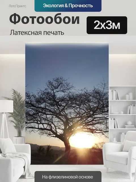 200 × 300 см · Латексная печать