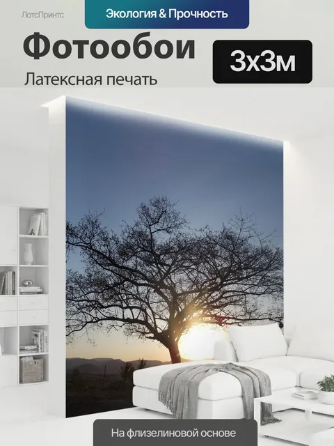 300 × 300 см · Латексная печать