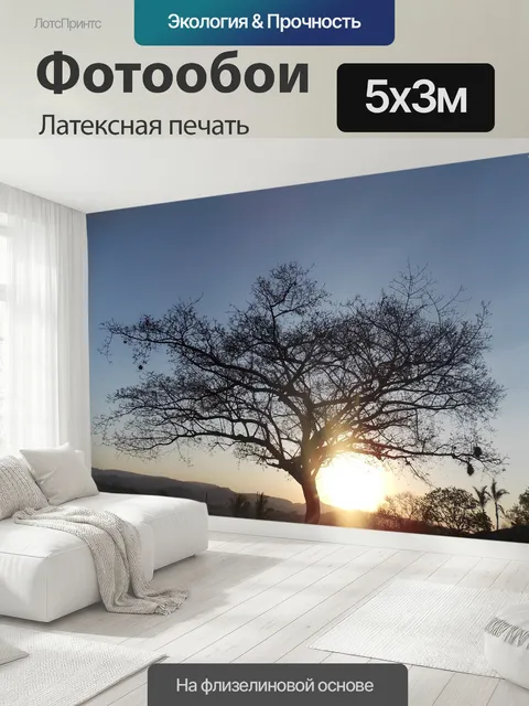 500 × 300 см · Латексная печать