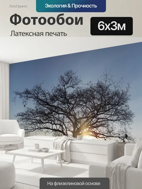 600 × 300 см · Латексная печать