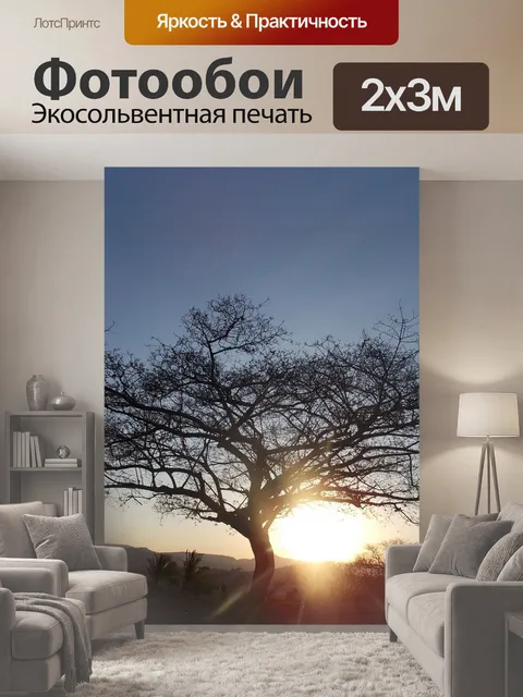 200 × 300 см · Экосольвентная печать