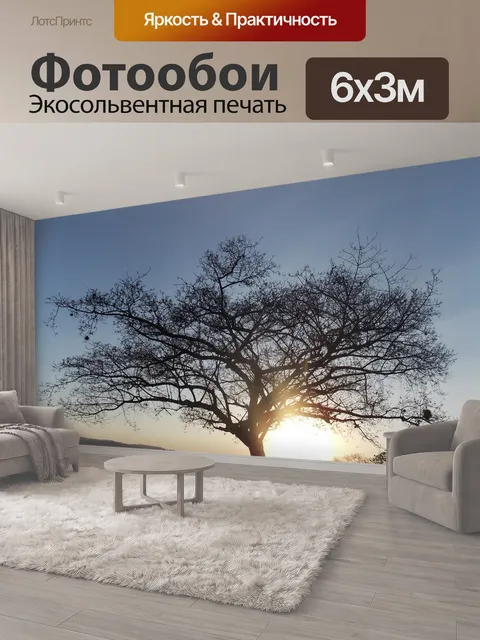 600 × 300 см · Экосольвентная печать