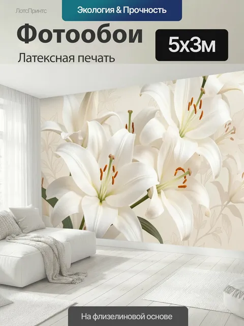 500 × 300 см · Латексная печать