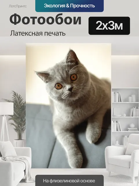 200 × 300 см · Латексная печать