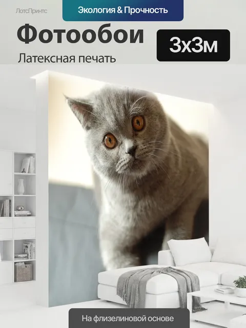 300 × 300 см · Латексная печать