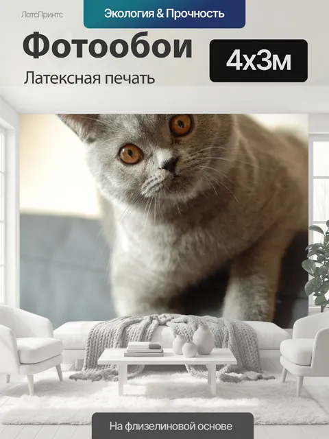 400 × 300 см · Латексная печать