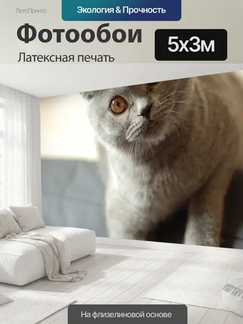 500 × 300 см · Латексная печать