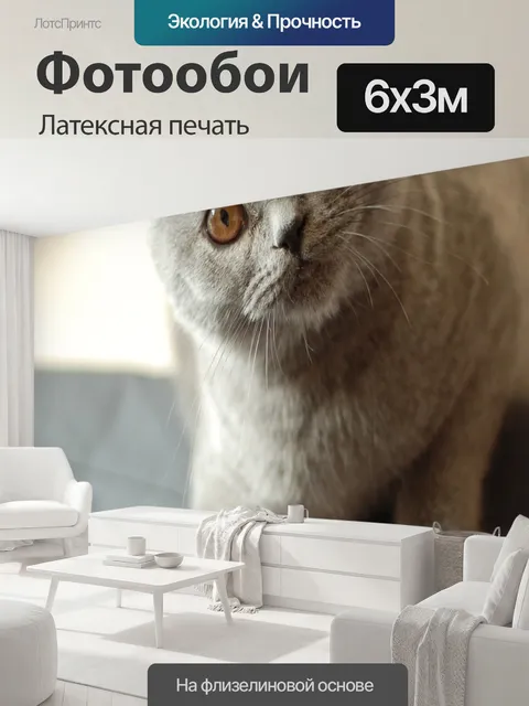 600 × 300 см · Латексная печать