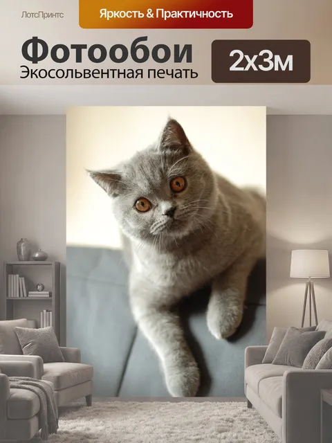 200 × 300 см · Экосольвентная печать