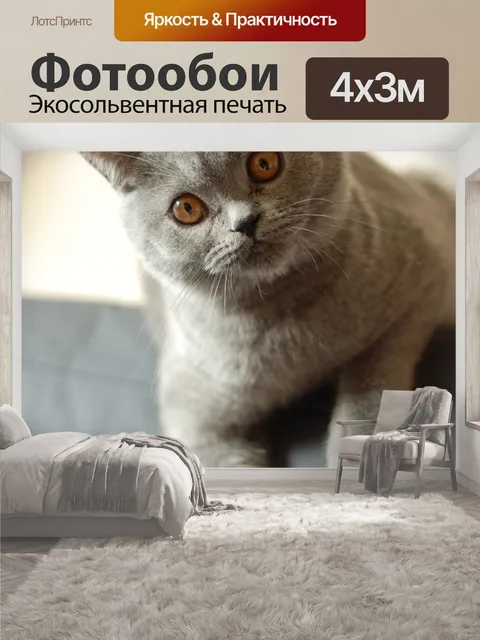 400 × 300 см · Экосольвентная печать