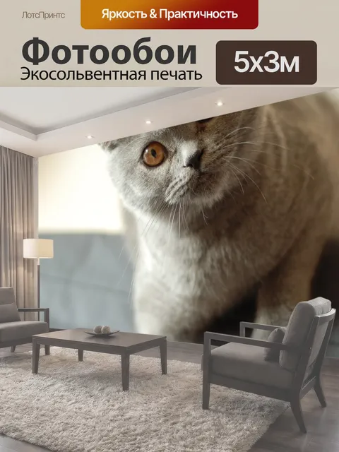 500 × 300 см · Экосольвентная печать
