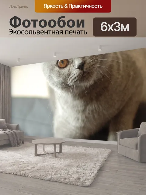 600 × 300 см · Экосольвентная печать