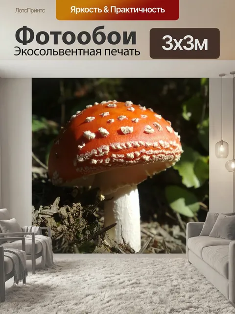 Фотообои Гриб, красный, белый