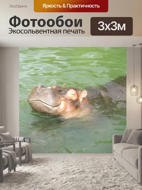 Фотообои Бегемот, африке, серый