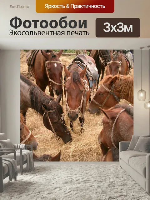 Фотообои Кони, лошади, конь